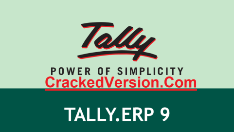 Tally 5.4 setup with crack